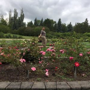 Meet your Posher, Petra